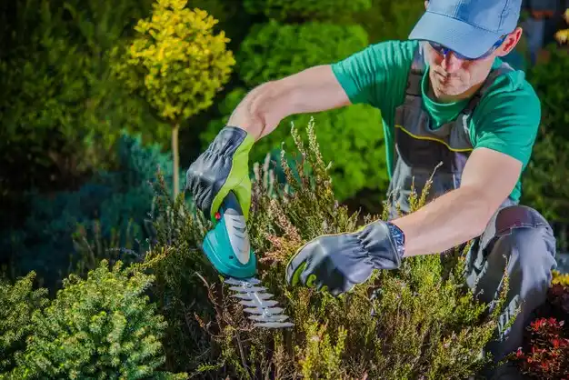 landscaping services Ferriday